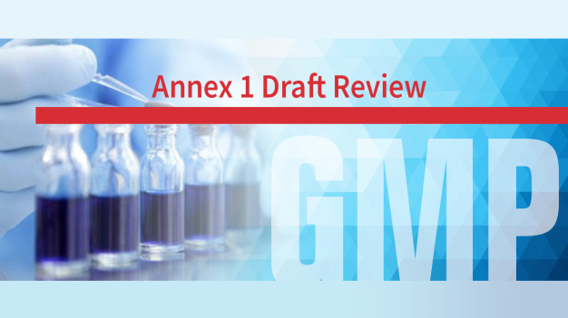 Annex 1 draft review © PMS