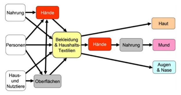 Abb. 1: Schema der Übertragungswege von Keimen über Hände und Textilien (nach Bloomfield, 2011). ©Hohenstein Institute