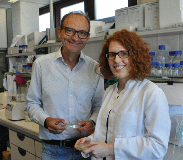 Professor Johannes Herrmann und seine Doktorandin Katja Hansen erforschen den Transport von Proteinen in die Mitochondrien. (Foto: AG Herrmann)