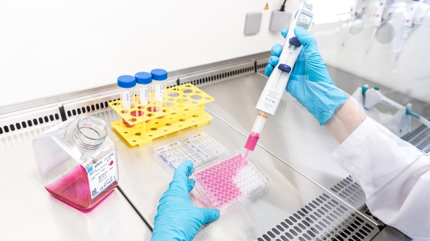 Prüfungen zur In-vitro-Zytotoxizität. © Fraunhofer IPA/Foto: Rainer Bez
