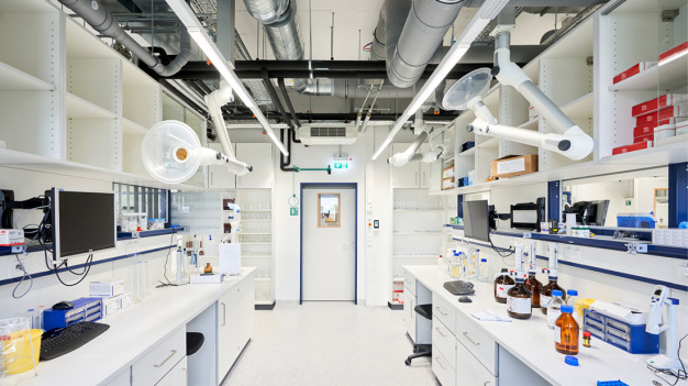 Beste Bedingungen – Die neue Laboreinrichtung bietet optimale Arbeitsbedingungen. (Bildnachweis: Stefan Brückner)