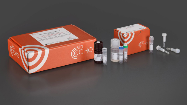 Das EchoLUTION Tissue RNA Kit: 50 Reaktionen im Format der Spinsäulen. (Copyright: BioEcho Life Sciences GmbH)
