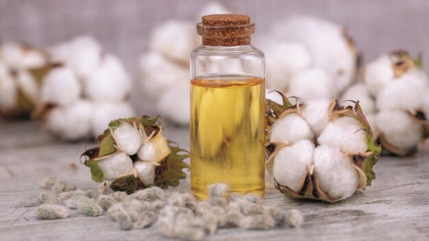Geselecteerde speciale ingrediënten vullen het nieuwe productaanbod van Vink Chemicals aan, zoals bijvoorbeeld Vinkocos® HCO (katoenzaadolie), dat conditionerend en huidverzachtend werkt. (Afbeelding: Esin Deniz / AdobeStock_296300974)