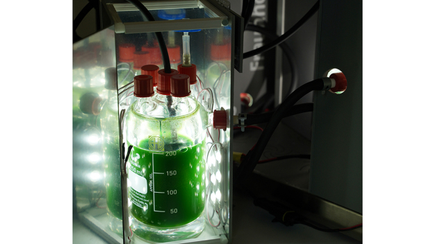 Photobioreaktor des Fraunhofer FEP zur Kultivierung phototropher Mikroorganismen im Labormaßstab unter definierten Licht-, Temperatur- und Gasbedingungen. © Fraunhofer FEP, Finn Hoyer / Fraunhofer FEP photobioreactor for the cultivation of phototrophic microorganisms on a laboratory scale under defined light, temperature and gas conditions. © Fraunhofer FEP, Finn Hoyer