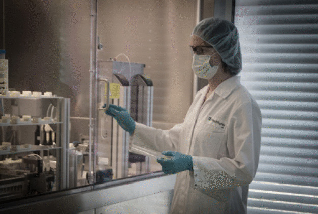 Mit einer Transfektions- und Screening-Plattform ist es möglich, Zellen sehr schnell auch für andere olfaktorische Reize zu modifizieren und so weitere Anwendungsgebiete, wie zum Beispiel die medizinische Diagnostik, zu erschließen. (© Fraunhofer IPA) / With a transfection and screening platform, it is possible to modify cells very quickly for other olfactory stimuli, thus opening up other areas of application, such as medical diagnostics. (© Fraunhofer IPA) Mit einer Transfektions- und Screening-Plattform ist es möglich, Zellen sehr schnell auch für andere olfaktorische Reize zu modifizieren und so weitere Anwendungsgebiete, wie zum Beispiel die medizinische Diagnostik, zu erschließen. (© Fraunhofer IPA) / With a transfection and screening platform, it is possible to modify cells very quickly for other olfactory stimuli, thus opening up other areas of application, such as medical diagnostics. (© Fraunhofer IPA)