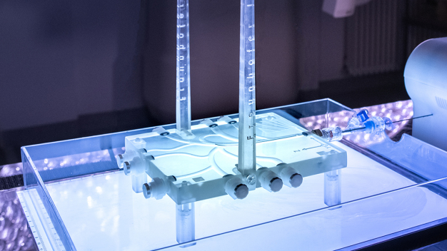 Printed vessel phantom with guide wire for a catheter. (Source: Fraunhofer IPA; photo: Vanessa Stachel)