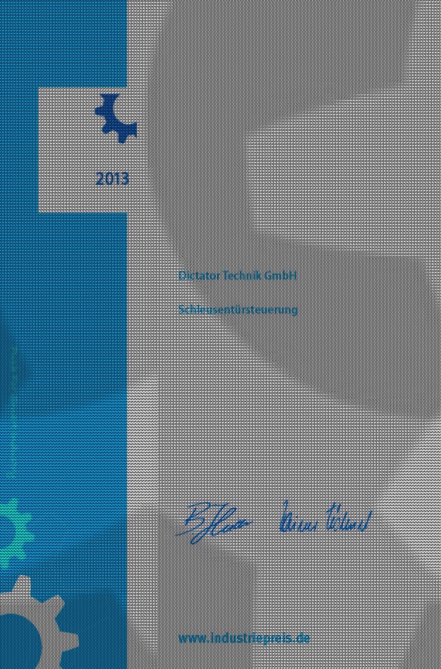 2013Industriepreis_best-of-certificate-62