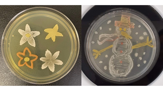 Cherwell’s Agar Art Competition 2021 winning entries from summer & Christmas competitions.