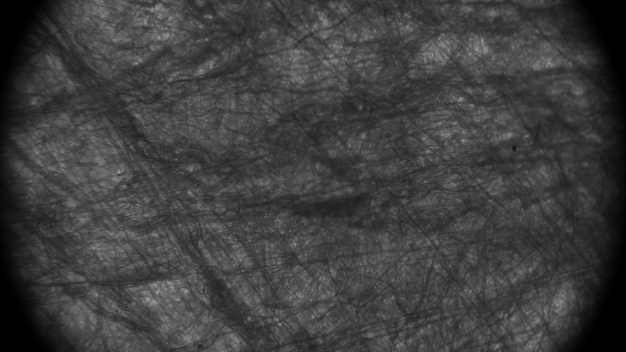 Die Durchlichtaufnahme aus dem Mikroskop zeigt die Verteilung der Fasern im Vliesstoff. © Fraunhofer ITWM / The transmitted light image from the microscope shows the distribution of the fibers in the nonwoven. © Fraunhofer ITWM