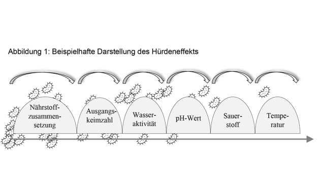 Abbildung 1: Beispielhafte Darstellung des Hürdeneffekts (Copyright: Melanie Jahn)