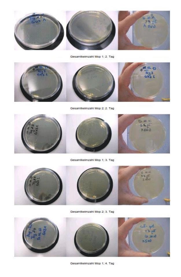 Abbildung 3 / Figure 3