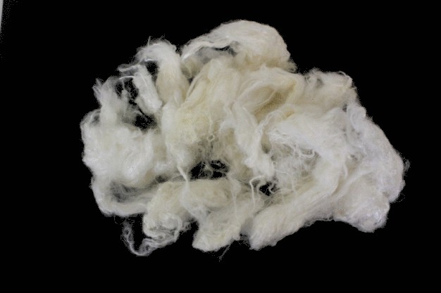 Abb. 1: Alginat-Viskose-Fasern, hergestellt mit bakteriellem Alginat. © Hohenstein Institute / Fig. 1: Alginate-viscose fibres produced us-ing bacterial alginate. © Hohenstein Institute