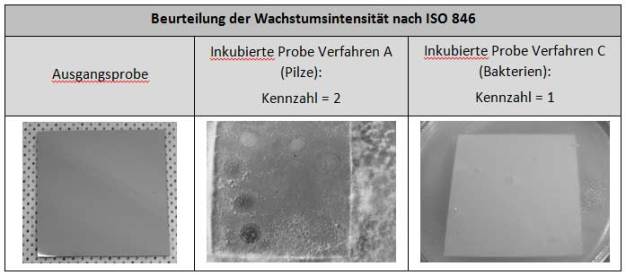 Abb. 6: Prüfung des Bodenbelags Sikafloor 390 nach ISO 846 Verfahren A und C. Links die Ausgangsprobe, Mitte und rechts nach 4 Wochen Inkubation.