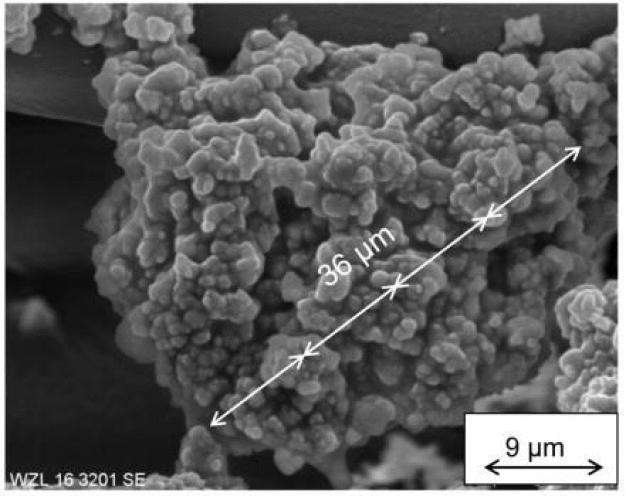 Bild: Partikel 36 μm mit HTS