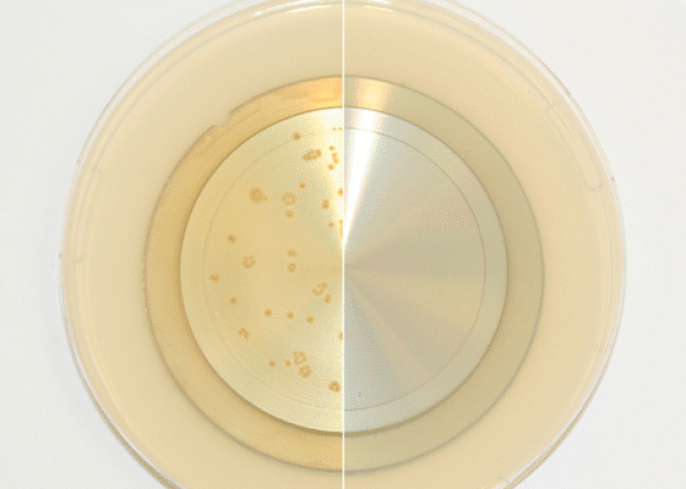 Prüfung der mikrobakteriellen Sterilität eines Bauteils zum Schutz der Planeten vor Keimübertragung (Quelle: Fraunhofer IPA) / Assessing the microbacterial sterility of a component to protect planets from contamination by germs. (Source: Fraunhofer IPA)
Prüfung der mikrobakteriellen Sterilität eines Bauteils zum Schutz der Planeten vor Keimübertragung (Quelle: Fraunhofer IPA) / Assessing the microbacterial sterility of a component to protect planets from contamination by germs. (Source: Fraunhofer IPA)