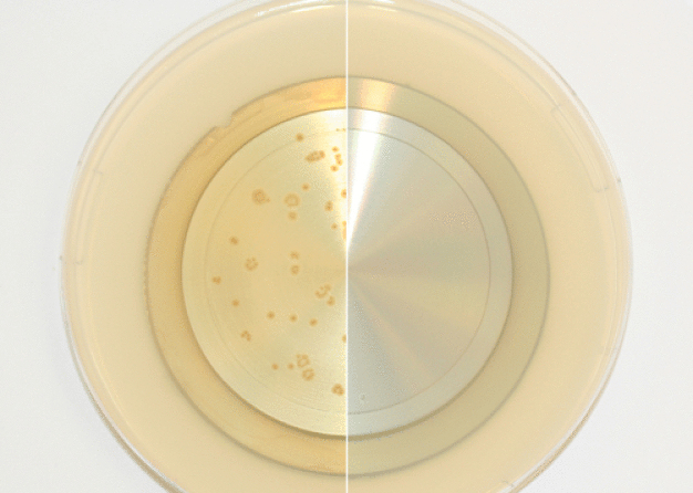 Prüfung der mikrobakteriellen Sterilität eines Bauteils zum Schutz der Planeten vor Keimübertragung (Quelle: Fraunhofer IPA) / Assessing the microbacterial sterility of a component to protect planets from contamination by germs. (Source: Fraunhofer IPA)

