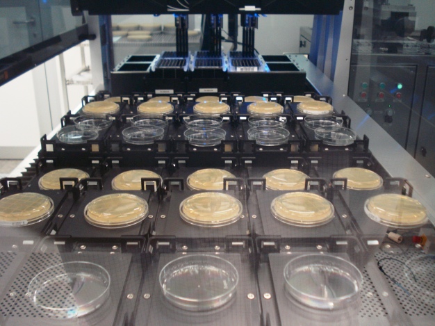 Ausgelegte PCA Sedimentationsplatten zur Messung sedimentierter Mikroorganismen in einem Hamilton Microlab Star. Bildquelle: Fraunhofer IPA
