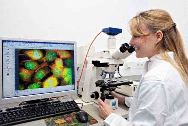 Untersuchungen mit dem Mikroskop (Quelle: Hochschule)