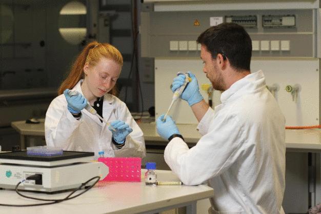 Praktisches Arbeiten spielt im Biologie-Studium an der TU Kaiserslautern eine große Rolle. (Foto: Koziel/TUK)