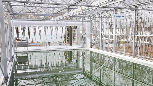 Rechenzentren: Eindrucksvoll: Oben Algen, unten High-Tech. Das klimaneutral arbeitende Rechenzentrum hat eine Leistung von 60 kW. (Bild: Weiss Klimatechnik GmbH) / Data centres 
Impressive: algae above, high-tech below. The climate-neutral data centre has an output of 60 kW. (Picture: Weiss Klimatechnik GmbH)