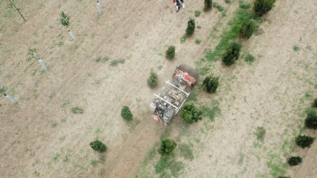 Ein Agrarroboter des Fraunhofer IPA übernimmt die Beikrautregulierung in einer Baumschule. © Bundesanstalt für Landwirtschaft und Ernährung/Fraunhofer / An agricultural robot from Fraunhofer IPA takes over weed control in a tree nursery. © Federal Office for Agriculture and Food/Fraunhofer