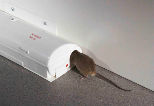 Pest Connect: Vollautomatischer Melde-Service zum Schutz vor Mäusen. (Quelle: Rentokil Initial©)