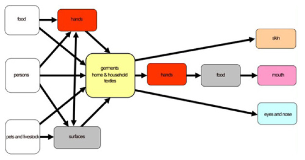 Fig. 1: Schema of transmission routes of germs via hands and textiles (following Bloomfield, 2011). ©Hohenstein Institute