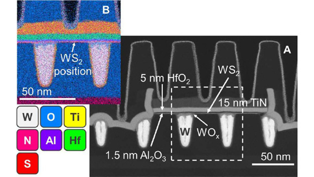 Abbildung 1 – (A) X-Cut-HAADF-Rasterelektronenmikroskopieaufnahme eines WS2-Bauelements mit einer CPP von 50 nm, einer Kontaktlänge von 19 nm und einer Breite von 256 nm nach dem Ätzen der Gate-Anschlussleitung. Und (B) die entsprechende energiedispersive Röntgenspektroskopie (EDS)-Analyse. 