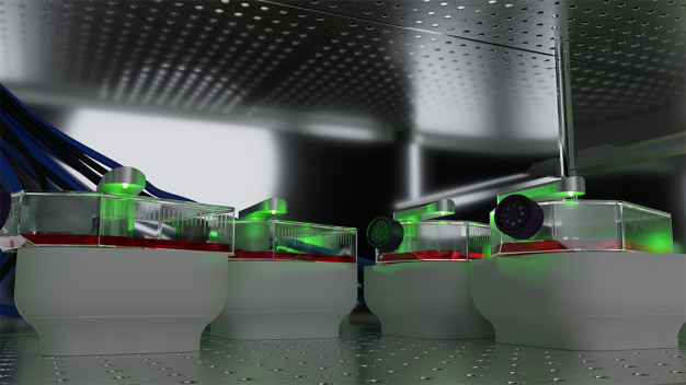 Fluorescence imaging for research groups that study cell viability, co-culture models, and more. Fluorescence imaging for research groups that study cell viability, co-culture models, and more.