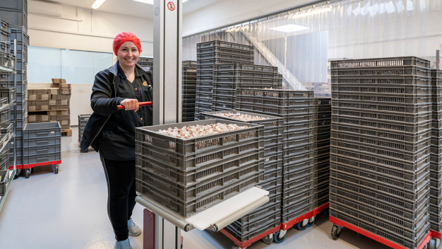 Transport von Verpackungskisten ohne Mühen mithilfe einer Hebelösung von Hovmand.