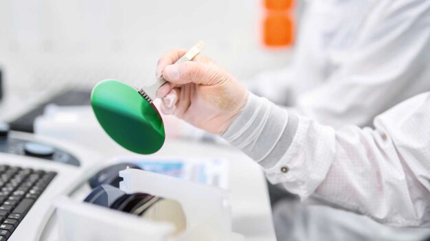 Produzione di microchip: come base vengono solitamente utilizzati wafer di silicio classici – come in questa immagine che brilla di verde (Immagine: Lucia Luca Hunziker / ETH Zurigo)