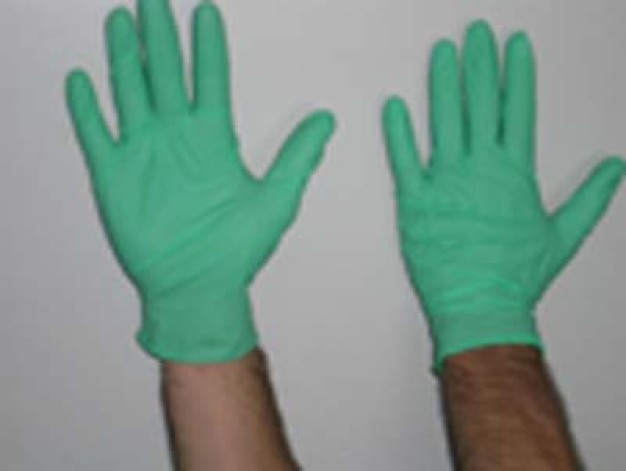 Reinraumhandschuhe aus Neopren Reinraumhandschuhe aus Neopren