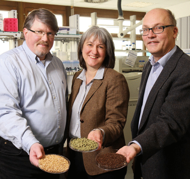 Die Teams von Professor Dr. Roland Ulber (li.), Professorin Dr. Elke Richling und Professor Dr. Werner Thiel untersuchen, wie der Treber anderweitig Verwendung finden kann. (Foto: TUK/Thomas Koziel)