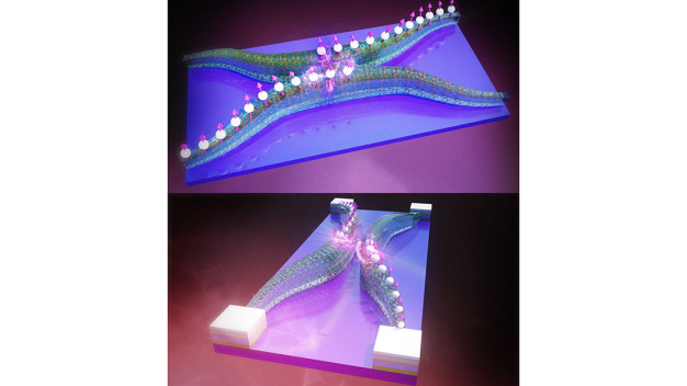 Abb. 1: Der Richtkoppler ist mit sichtbaren Atomstruktur dargestellt. Die Spinwelle springt von einer Nanodraht-Leitung zu einer anderen Nanodraht-Leitung – dort, wo sich die Leitungen einander nähern. (Niels Paul Bethe, SYNC audiovisual design) Abb. 1: Der Richtkoppler ist mit sichtbaren Atomstruktur dargestellt. Die Spinwelle springt von einer Nanodraht-Leitung zu einer anderen Nanodraht-Leitung – dort, wo sich die Leitungen einander nähern. (Niels Paul Bethe, SYNC audiovisual design)