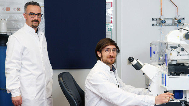 Prof. Dr. Jörg Fahrer (links) mit Philipp Demuth (rechts) am konfokalen Laser-Scanning-Mikroskop im Labor des Fachbereichs Chemie der TU Kaiserslautern. © Thomas Koziel/TU Kaiserslautern