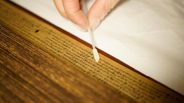 Die Palmblattmanuskripte, die im südindischen Puducherry untersucht werden sollen, gehören wie die Gutenberg-Bibel (um 1455) oder die Magna Charta von 1215 zum Weltdokumentenerbe. (Bild: UHH/K.Helmholz)