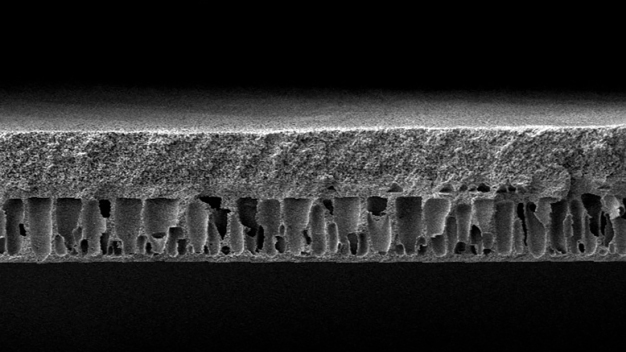 Die PFAS-freie Polymermembran ist chemisch stabil, hoch permeabel und hat einen Porendurchmesser von ca. sieben Nanometern. © Fraunhofer IAP / The PFAS-free polymer membrane is chemically stable, highly permeable and features a pore diameter of approx. seven nanometers. © Fraunhofer IAP