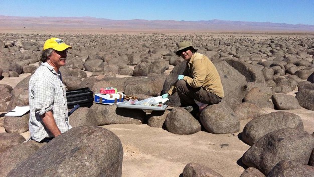 Feldforschung in der Atacama-Wüste in Chile. Hier herrschen marsähnliche Bedingungen. (© TU Berlin_Research Group Astrobiology)