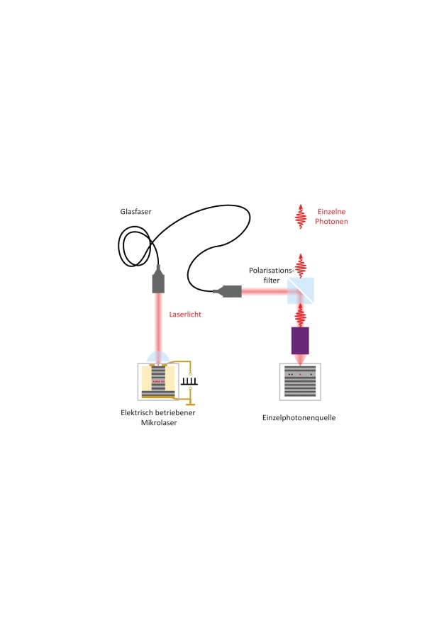 Schematische Darstellung des Experiments: Das Licht des elektrisch gepulsten Mikrolasers (links) wird über eine Glasfaser zur Einzelphotonenquelle (rechts) geführt. Es erzeugt dort einzelne Photonen, die über einen Polarisationsfilter präzise vom Laserlicht getrennt werden müssen. (© Sören Kreinberg/TU Berlin)