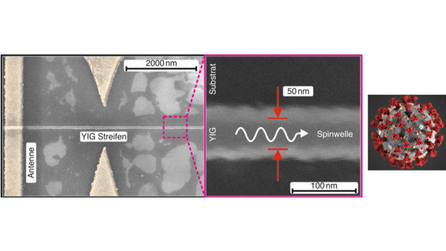 Die linke Tafel zeigt eine mittels Rasterelektronenmikroskop generierte Aufnahme eines 50 nm breiten YIG-Wellenleiters. Die Antenne ermöglicht die Anregung von Spinwellen, die sich dann entlang des Streifens ausbreiten. Die rechte Tafel zeigt einen vergrößerten Ausschnitt des Wellenleiters im Vergleich zur Größe des Coronavirus. (Quelle: TUK / Nano Structuring Center)