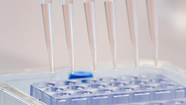 Zukunftsweisende Forschung im Innovationspark Biel. Biotechnologische In-vitro-Modelle werden unter Reinraumbedingungen hergestellt. (Bildnachweis: AlveoliX)