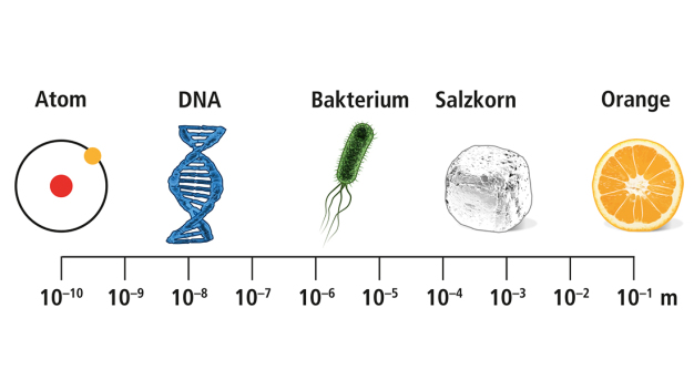 (Abbildung 1: Größen der Teilchen im Vergleich)