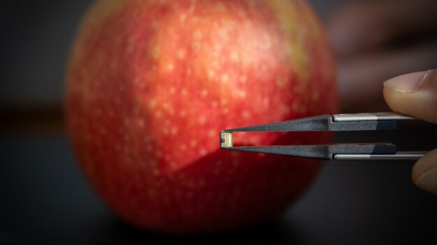 Wegen seiner kompakten Größe, bietet sich eine große Vielfalt an Anwendungsmöglichkeiten. Die Gründer*innen wollen ihre neuartigen Germanium-auf-Silizium-Photodetektoren auch für Hersteller im Bereich Autonomes Fahren und für die Medizintechnikbranche produzieren. (Bild: Nico Scheller)