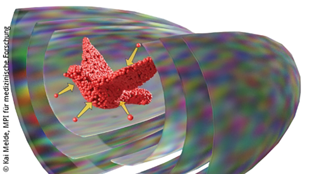 Ultraschall bildet ein Schallfeld in dem Partikel zu einem Objekt geformt wrden. Kai Melde, MPI for Medical Research, Heidelberg University / The use of sound waves to create a pressure field to print particles. Kai Melde, MPI for Medical Research, Heidelberg University 