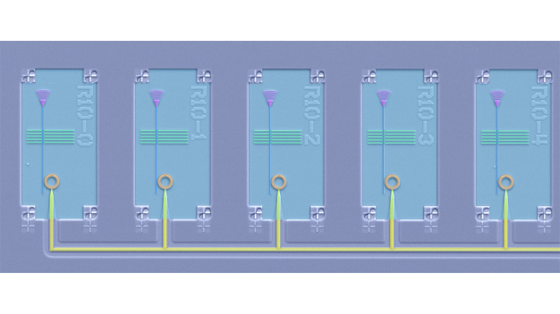 Electron microscopic image of so-called quantum circuits. They consist of microlasers (circular, orange), waveguides with integrated light sources for individual light particles – photons – (blue) and tap-off elements (purple). These complex nanostructures are being developed as part of the 