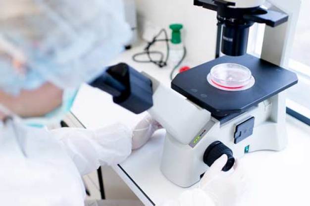 PetBioCell bietet mit seinem Reinraum und Laborpersonal Tierkliniken die Möglichkeit zur Medikamentenherstellung. 