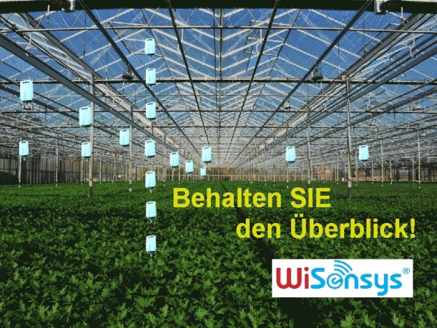 Wisensys Anwendung Wisensys Anwendung